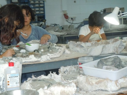 paléontologues en herbe 