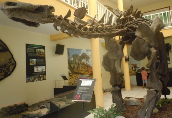 portugal2015dt 153 - Copie