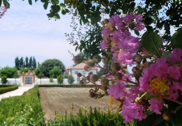 Bel endroit pour un piquenique!