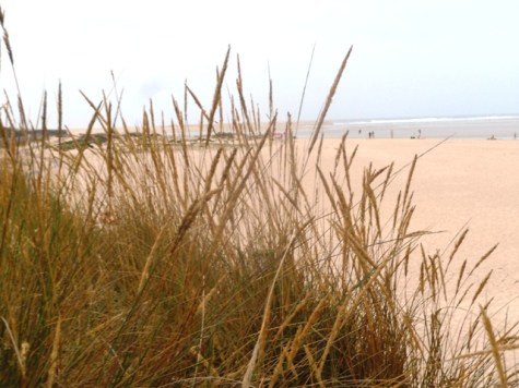 portugal2015dt 131 - Copie