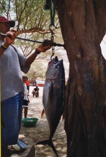 capvertsantiagotarrafal6-copie-2