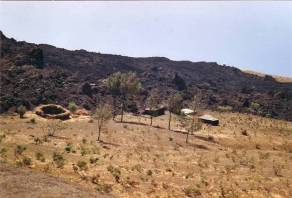 Coulée de 1951 et re-forestation
