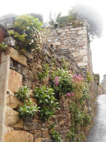 les murs en pente de La Roche-Derrien