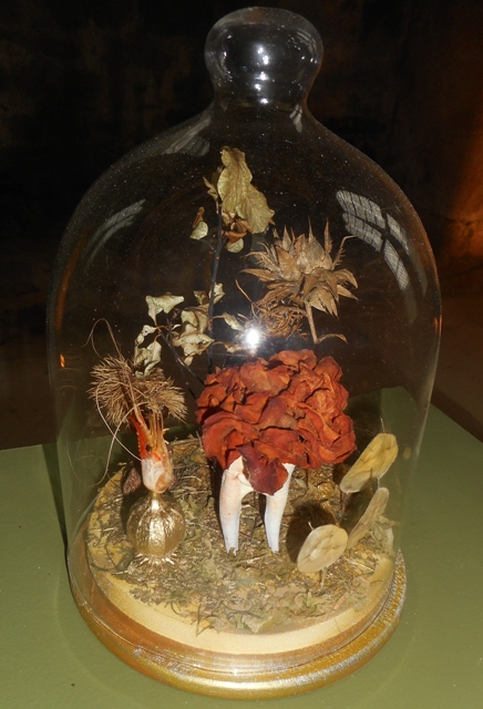 Petites choses séchées sous cloche