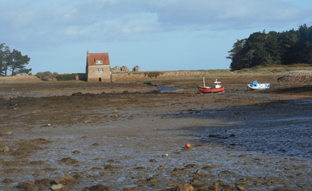 côte des ajoncs 2015 143