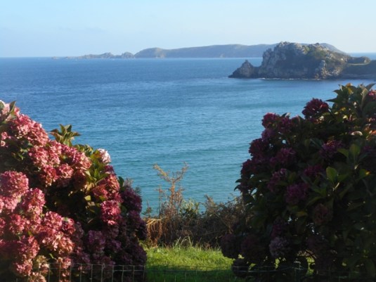 ploumanac'h granit rose7