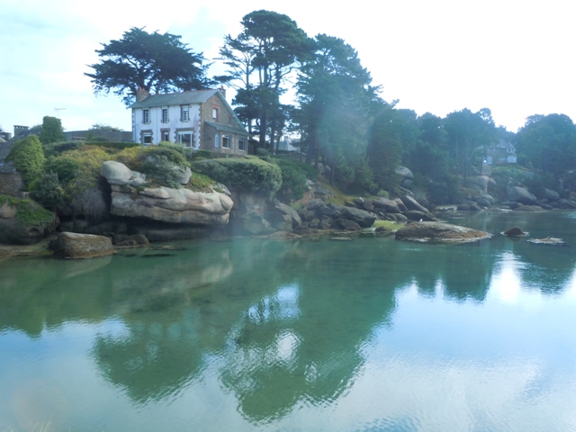 perrosdt 2015 010 - Copie