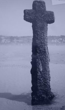 perrosdt 004 - Copie