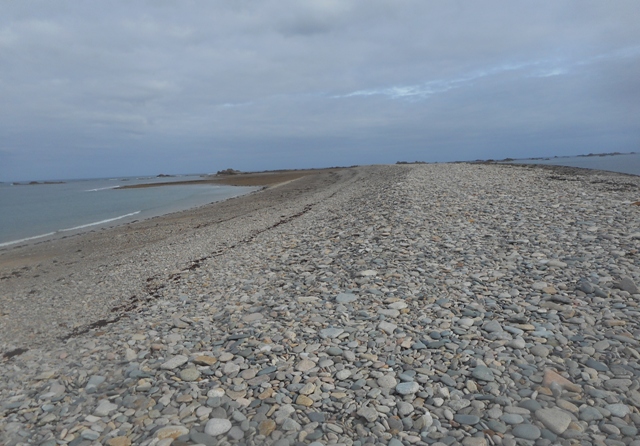 Le sillon de Talbert