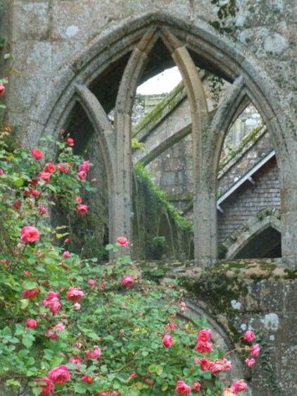 Roses et ruines