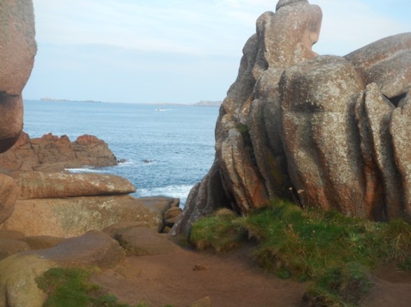 perrosmp2015 031 - Copie