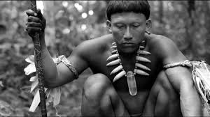 L'étreinte du serpent