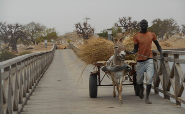 la passerelle conduisant au cimetière de Fadiouth
