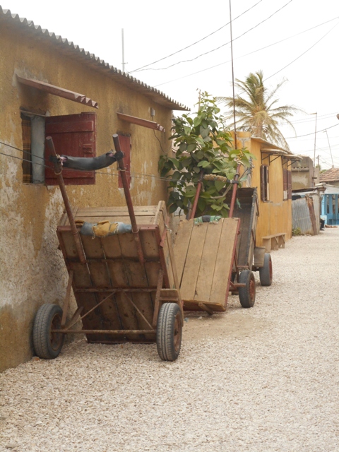 les rue de coquillages