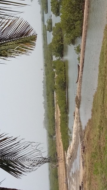 casamancetéléphone 139 - Copie