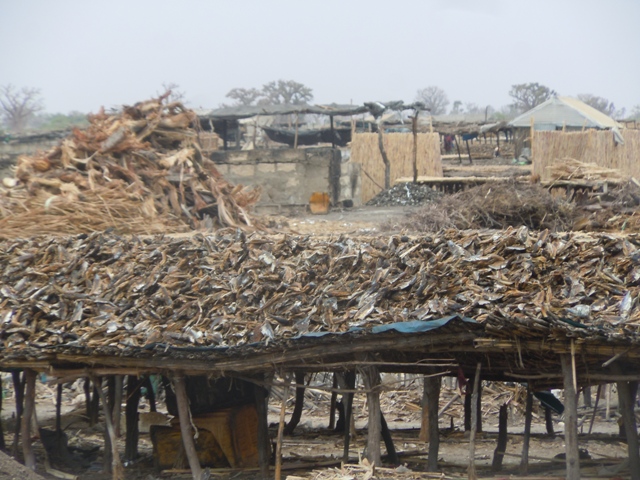 les fumeries de Joal