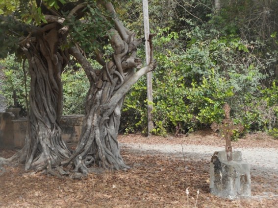 cimetière français