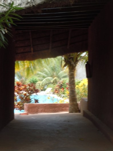 Découvrons la piscine!