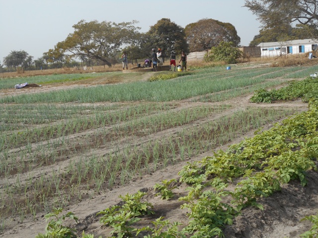 le jardin des femmes