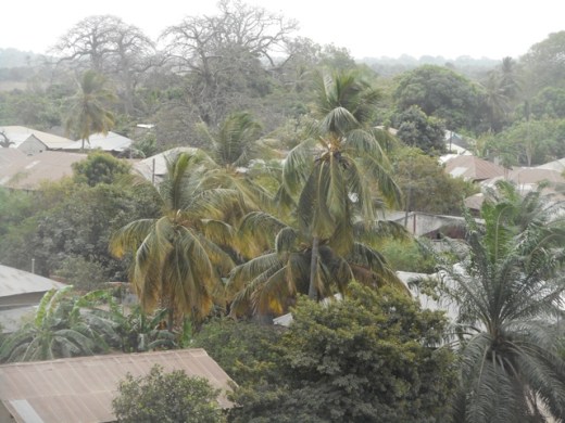 Djembering vu de la dune