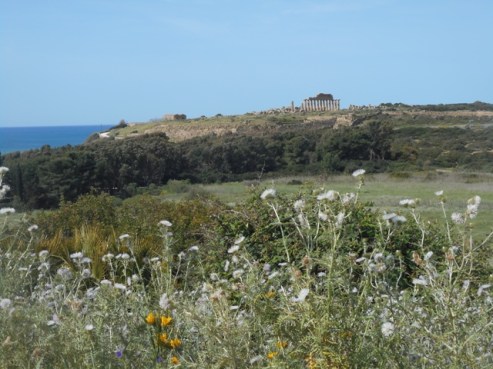 L'Acropole et la colonnade