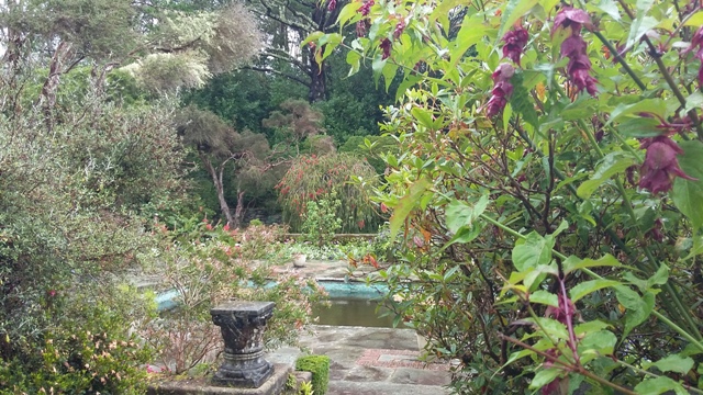 20160710_121248 - Copie - Copie