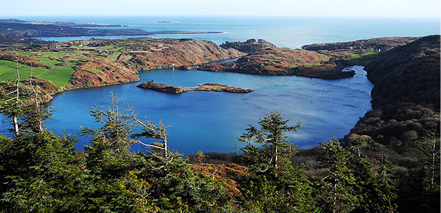 lough hyne