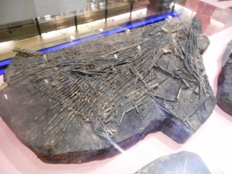 nasse à poissons préhistorique