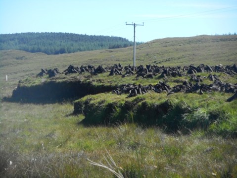 séchage de la tourbe