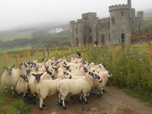 Le château de Clifden