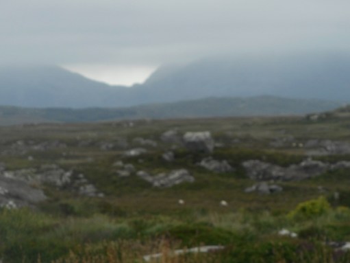 Brouillard sur la tourbière