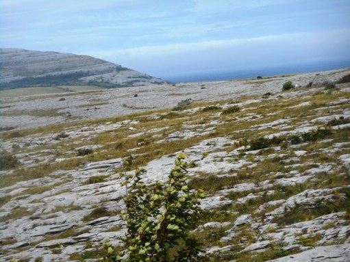 Burren : lapiaz