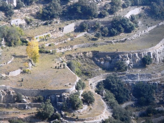 Ares del Maestrat ; terrasses
