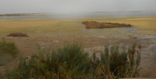 Où finit la terre? Où commence la mer?
