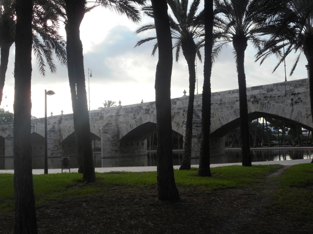 On se croirait dans une oasis, un mirage