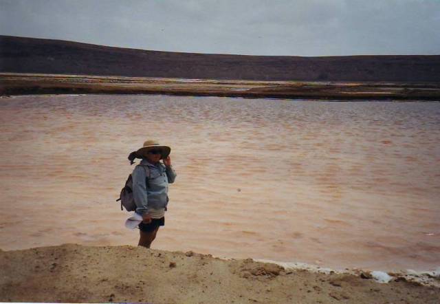 Sal : salines de Pedra do Lume, mon chapeau de paille ne s'est pas encore envolé!