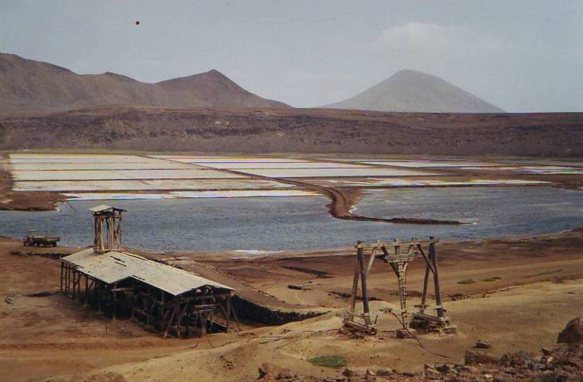 capvertsalesppedradolume20001