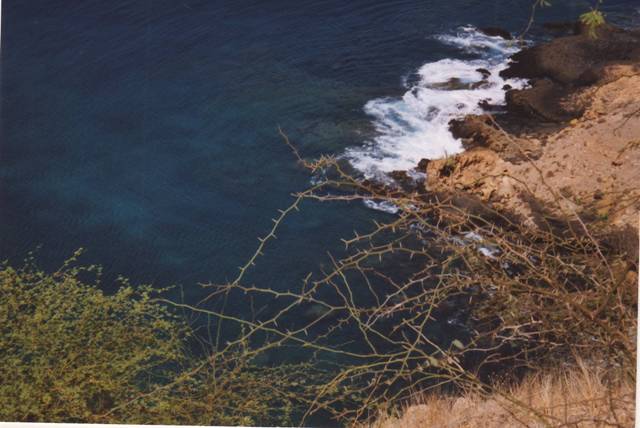 capvertsantiagotarrafal3-copie