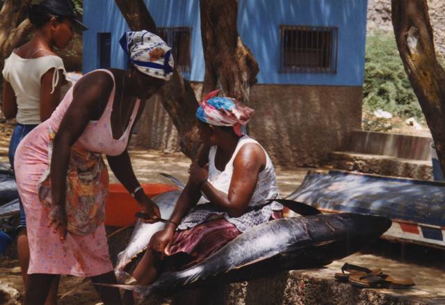 capvertsantiagotarrafal8