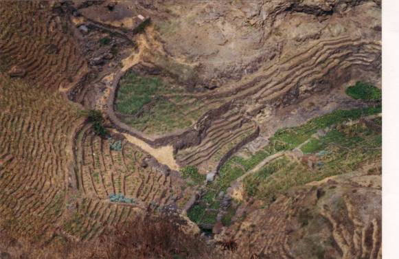 Cha de igreija : terrasses