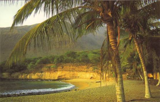 Hôtel Baia Verde : plage