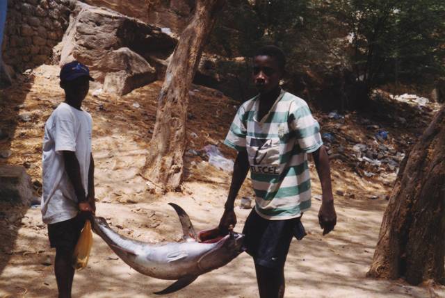 capvertsantiagotarrafal7-copie