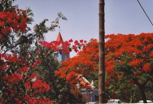 capvertsantiagociddadevelha170002-copie