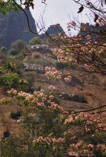 capvertsantiagosan-jorge2-copie