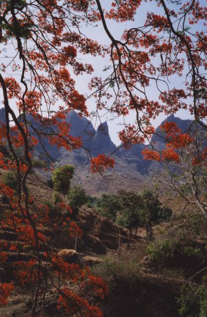 capvertsantiagociddadevelha170002