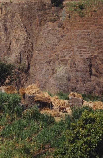 capvertsanantaoribeira3-copie