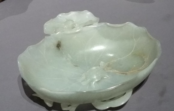 feuilles de lotus et tortues