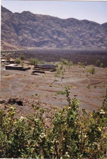 cultures dans la caldeira : pommes et vignes