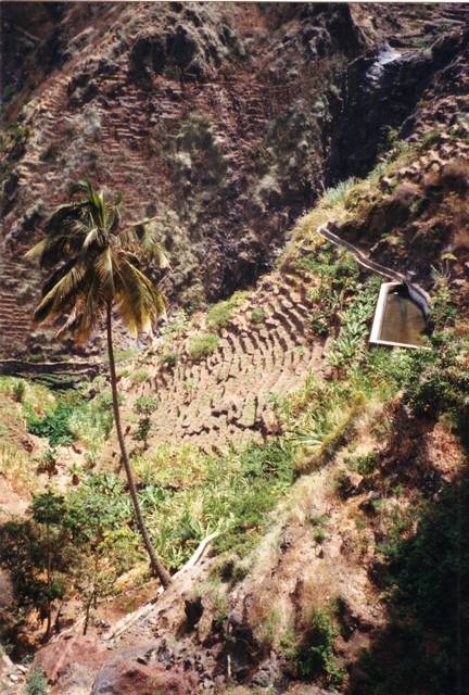 les petites terrasses , citerne et levada