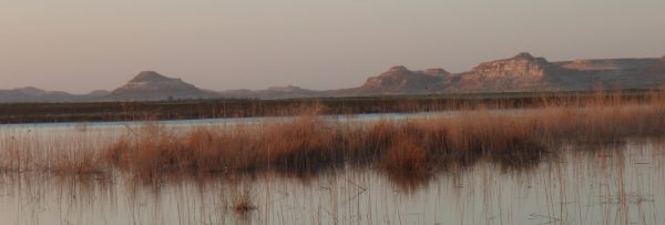 Siwa : mon ancienne banderole du blogLeMonde